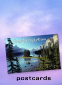 postcards